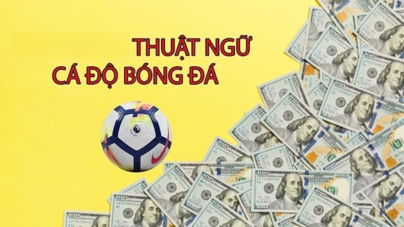 Thuật ngữ cá độ bóng đá ở kèo châu Âu