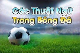 Học thuật ngữ cá độ bóng đá và trở thành cao thủ